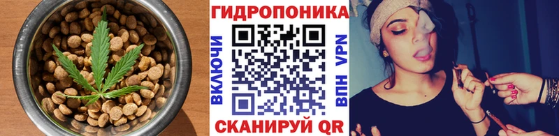 Canna-Cookies конопля  наркотики  блэк спрут ссылка  Шенкурск 