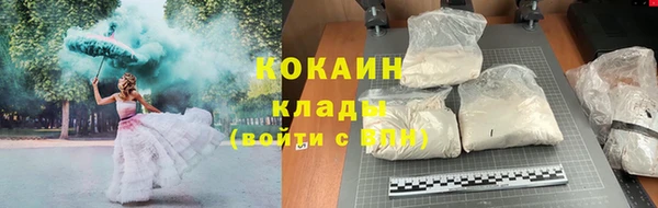 крисы Белоозёрский