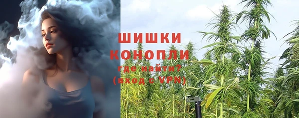 крисы Белоозёрский