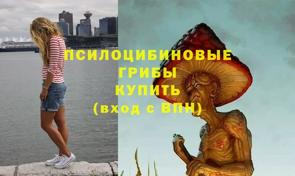 крисы Белоозёрский