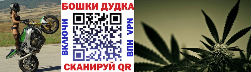 даркнет сайт  мега зеркало  нарко площадка формула  Шенкурск  Каннабис конопля 